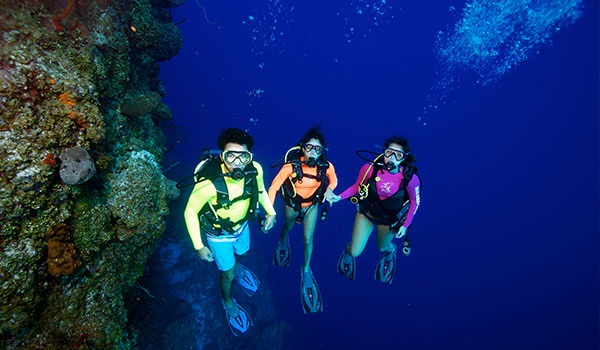 Diving in the Caymans